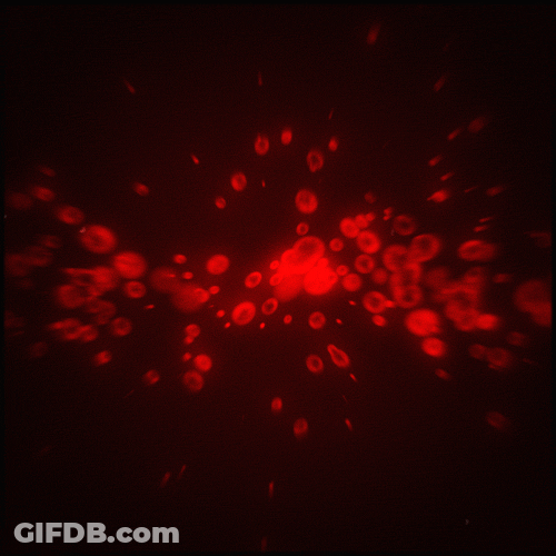 Blood Dripping Stream GIF