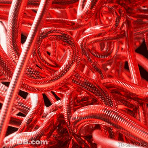 Blood Flow In The Circulatory System GIF