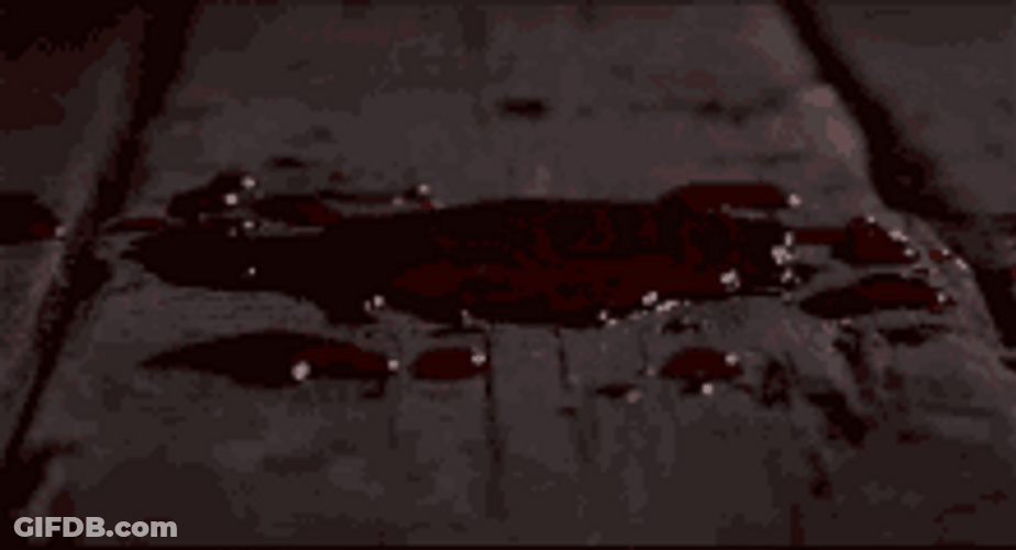 Blood On The Floor GIF