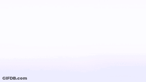 Blood Pile On White Surface GIF