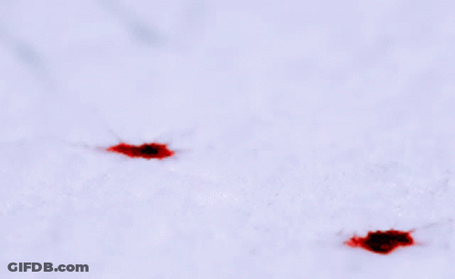 Blood Stains With Drops GIF