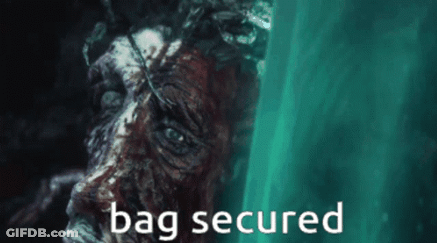 Bloodborne Bags Secured Old Hunters GIF