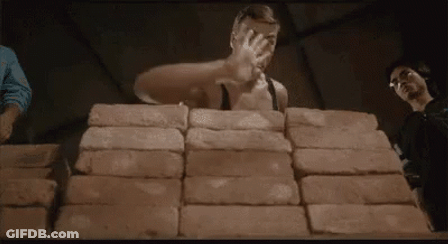 Bloodsport GIF