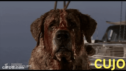 Bloody Dog With Cujo GIF