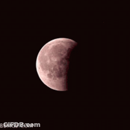 Bloody Full Moon With Bbmgif.com GIF