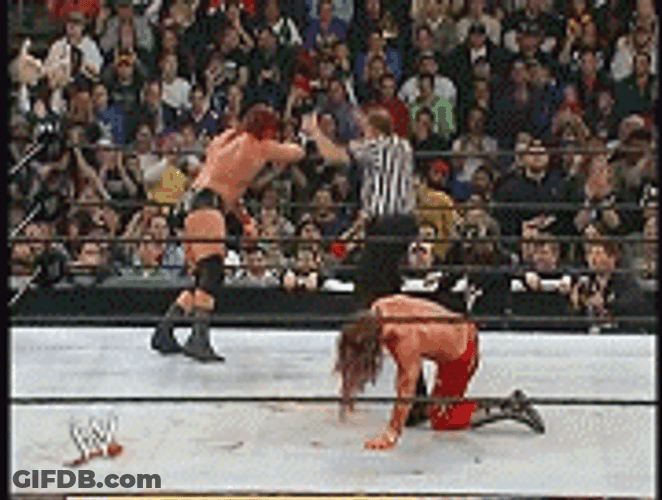 Bloody Shawn Michaels Fighting GIF