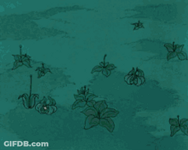 Blooming Flower Animation GIF