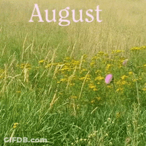 Blooming Flowers Greet Hello August GIF