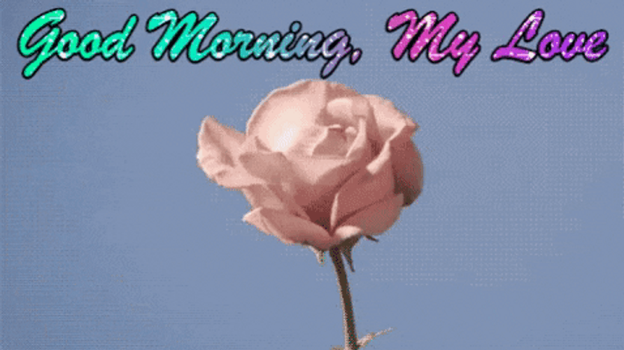 Blooming Good Morning My Love GIF