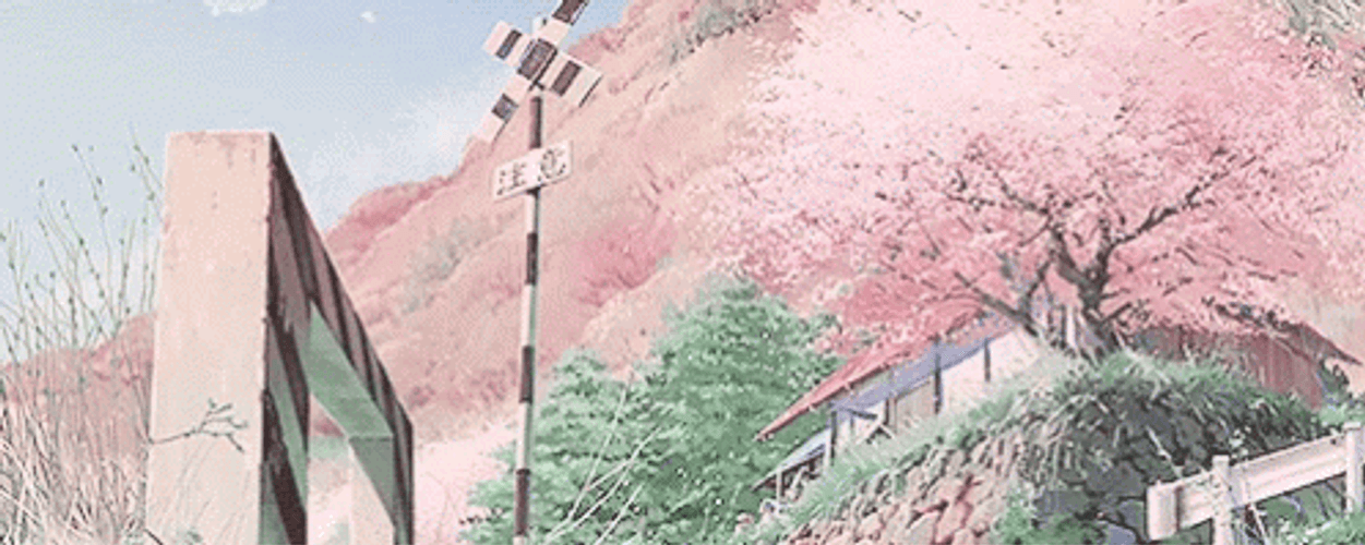 Blossom Tumblr Flower Falling Petals GIF