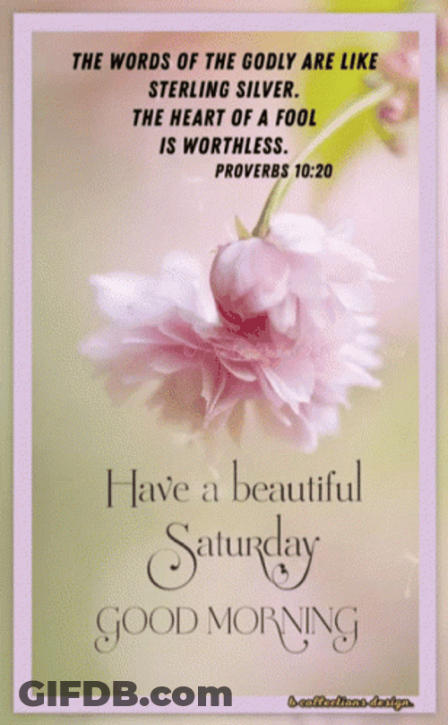 Blossoming Flower Saturday Blessings GIF