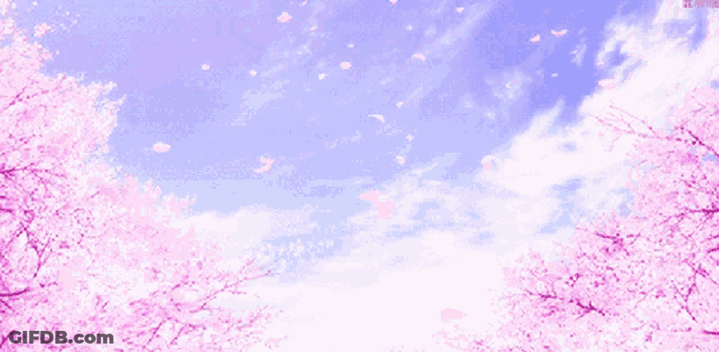 Blossoms Flowers GIF