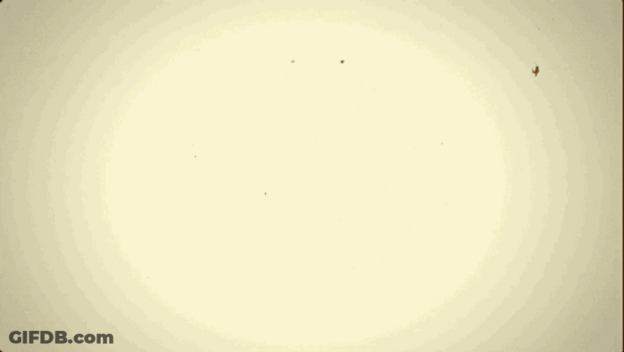 Blow Head Off Mushroom Cloud Shock GIF