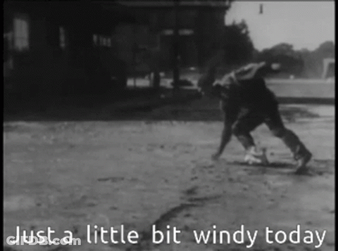 Blown Away Little Bit Windy Today GIF