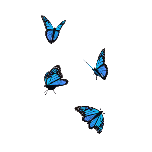 Blue Aesthetic Butterflies GIF