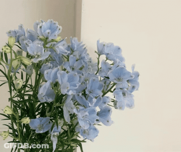 Blue Aesthetic Cute Stuffs GIF