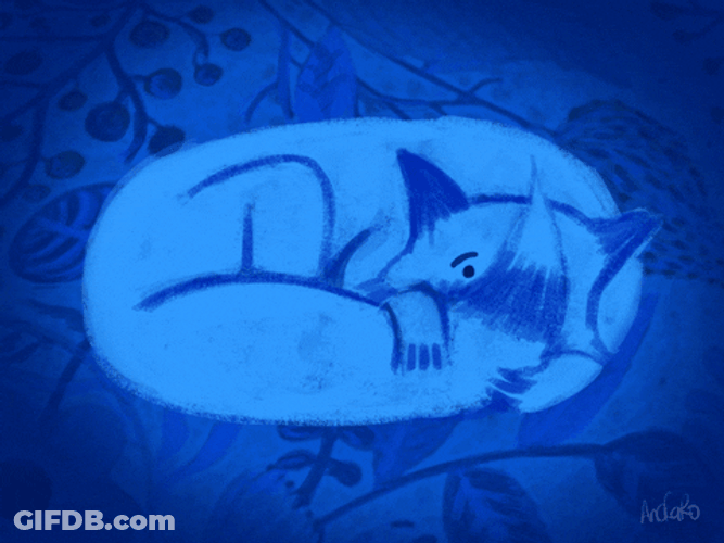 Blue Aesthetic Sleeping Cat GIF