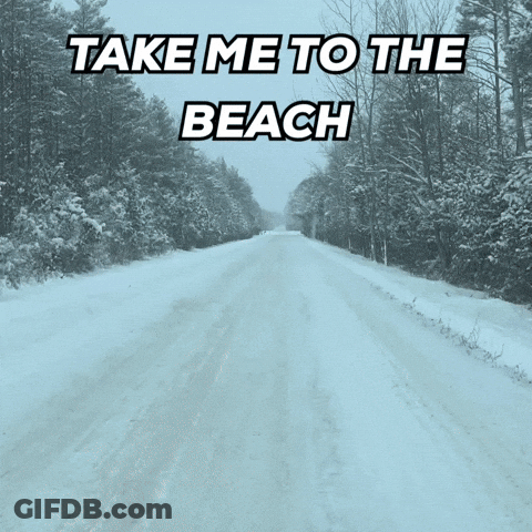 Blue And Green Fox Saying Beep Beep GIF