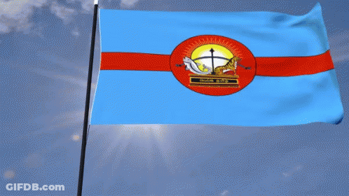 Blue And Red Flag With Circle Saying United States GIF