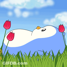 Blue And White Bird Laying In Grass GIF
