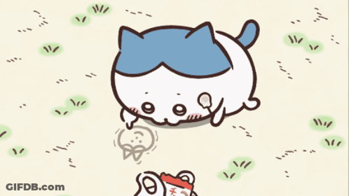 Blue And White Cat In Red Shirt GIF