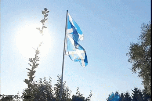 Blue And White Flag Flying In Wind GIF