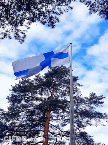 Blue And White Flag Flying GIF