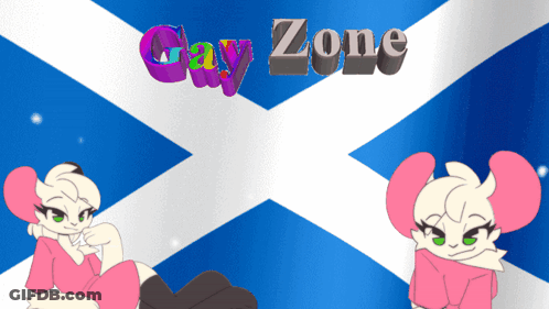 Blue And White Flag Saying Gay Zone GIF