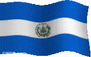 Blue And White Flag Waving In Wind GIF