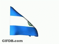 Blue And White Flag Waving GIF