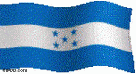 Blue And White Flag With 3 Stars GIF