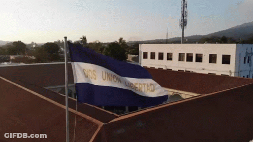 Blue And White Flag With Dos Union Libertad GIF