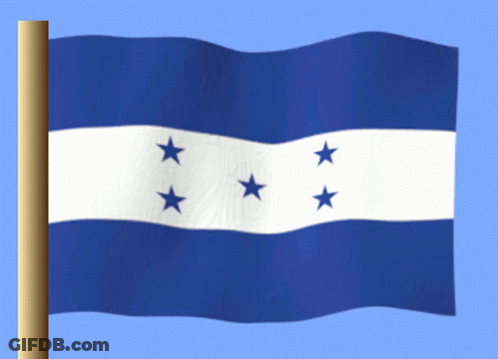 Blue And White Flag With Four Blue Stars GIF