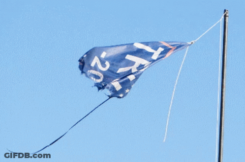 Blue And White Flag With Letters X And Z GIF