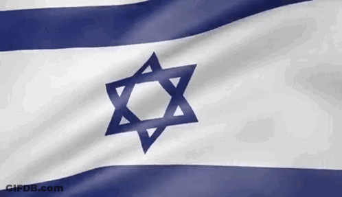 Blue And White Flag With Star GIF