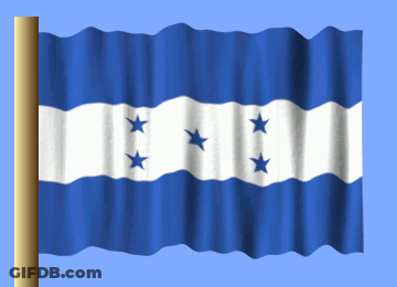 Blue And White Flag With Three Stars GIF