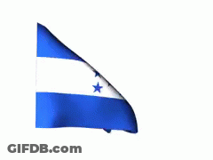 Blue And White Flag With Three Stars GIF