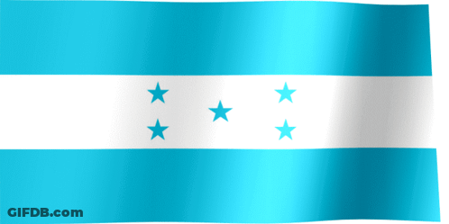 Blue And White Flag With Three Stars GIF