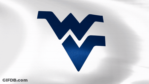 Blue And White Flag With W GIF