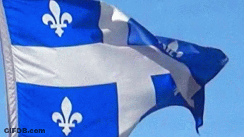 Blue And White Flag With White Lily GIF