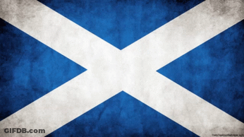 Blue And White Flag With White X GIF