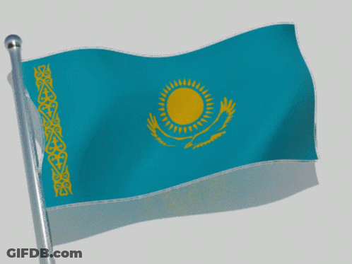 Blue And White Flag With Yellow Sun GIF