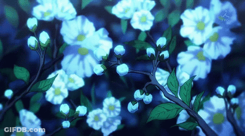 Blue And White Flowers With TBS Logo GIF