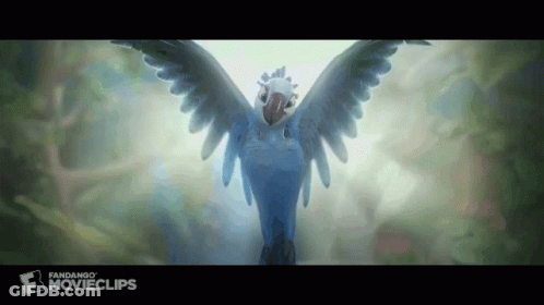 Blue And White Parrot Flying With Fandango Movieclips Logo GIF