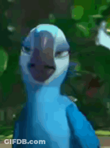 Blue And White Parrot With Eyes Closed GIF