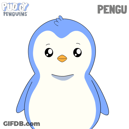 Blue And White Penguin Named Pengu GIF