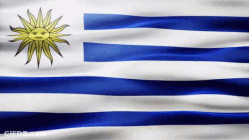 Blue And White Striped Flag With Sun GIF