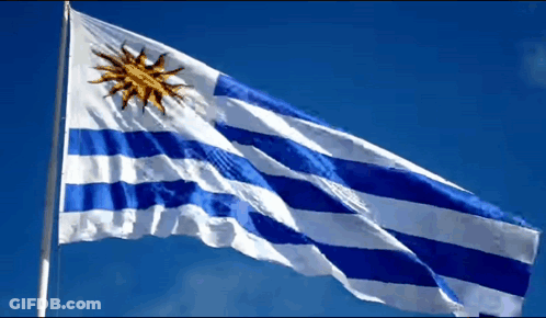 Blue And White Striped Flag With Yellow Sun GIF