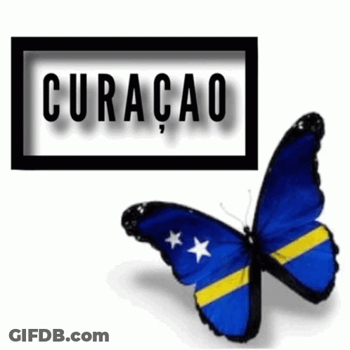 Blue And Yellow Butterfly Flying In Front Of Curaçao Sign GIF
