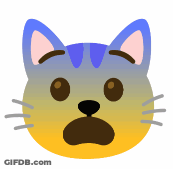 Blue And Yellow Cat Surprised GIF